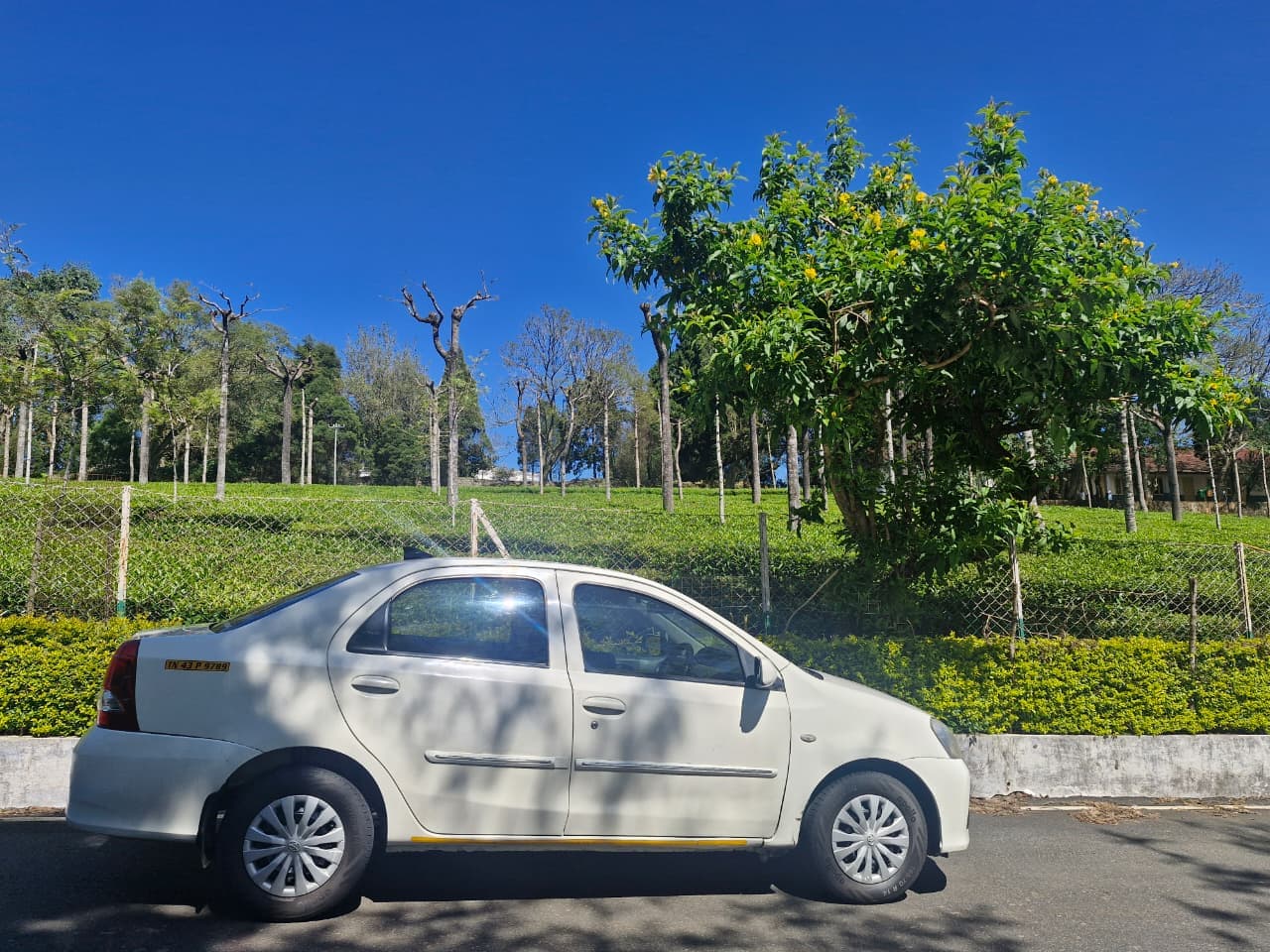Etios sedan on a road lined with tea gardens near Ooty