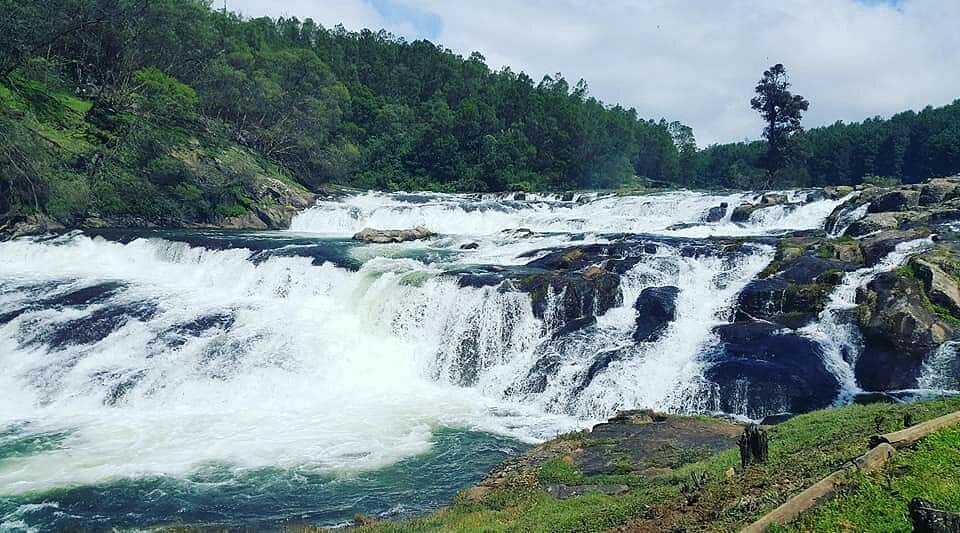 Pykara & Mudumalai Tour